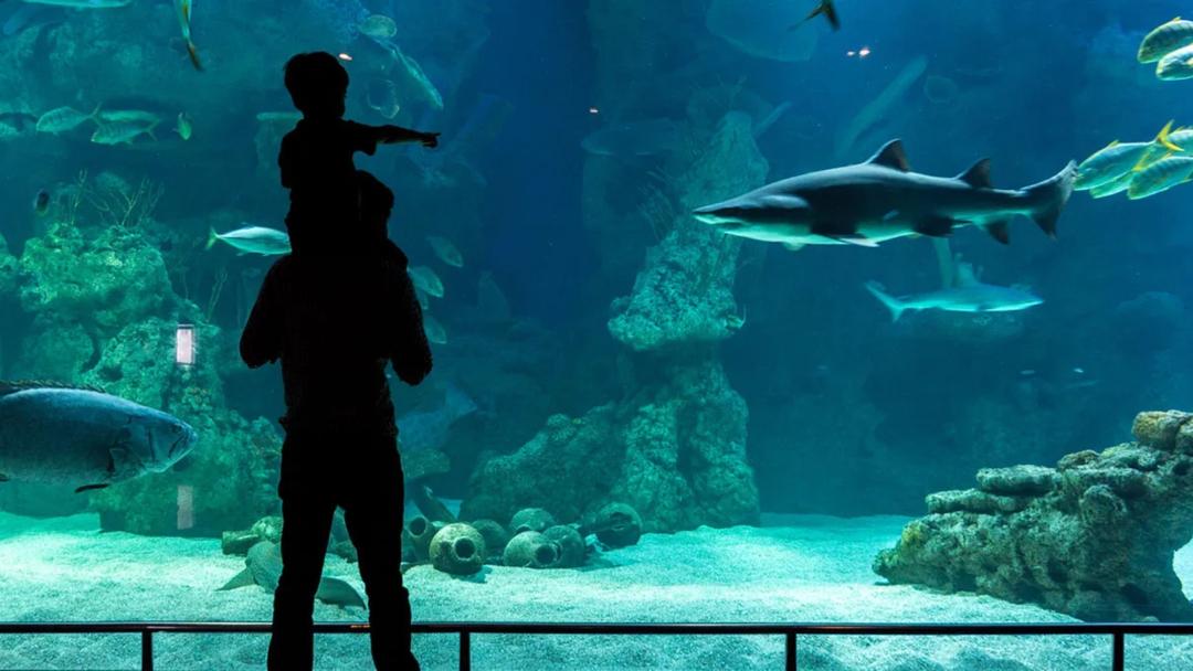 Fakieh Aquarium  Logo